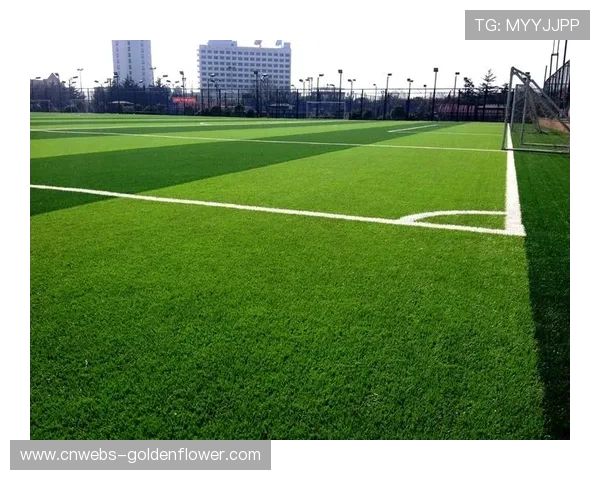 酋长球场筹备巴西对塞内加尔友谊赛，草皮维护成重点