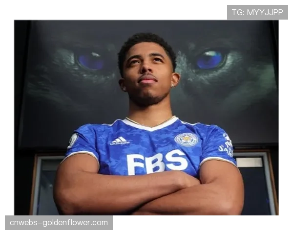 传闻:AC米兰与切尔西就中卫福法纳的转会进行初步接触